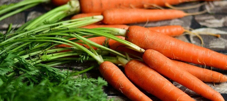 CALORIUM carrot How many contains?