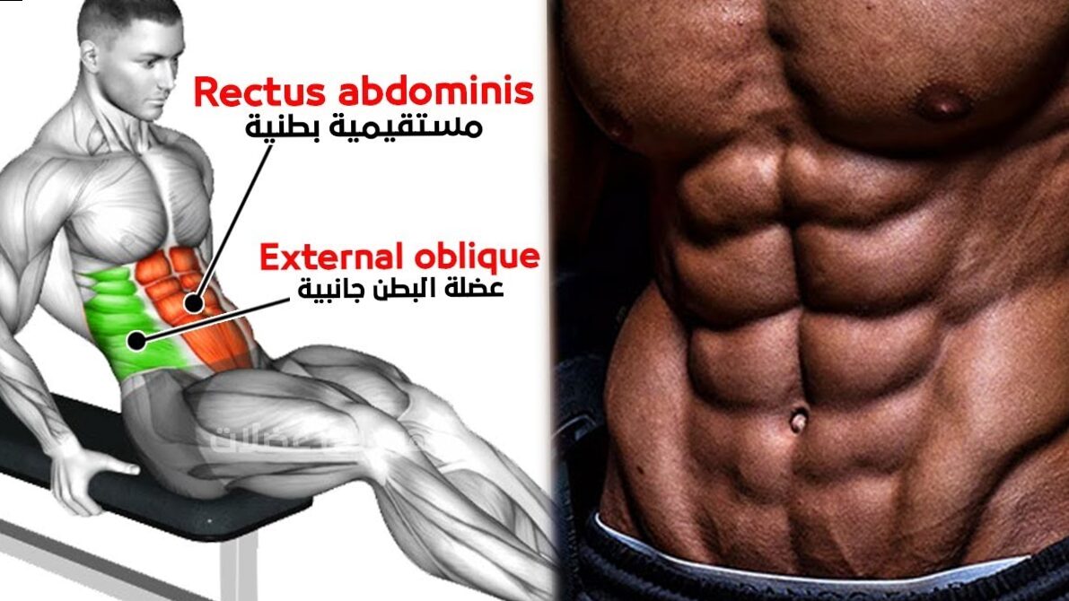Exercises for the abdomen in the gym